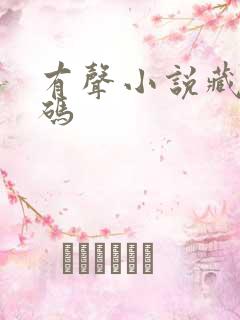 有声小说藏地密码