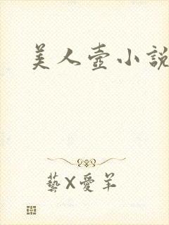 美人壶小说