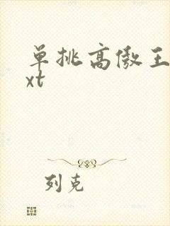 单挑高傲王子txt