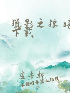 猎影之狼 暗夜下载