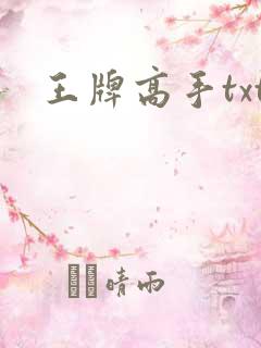 王牌高手txt
