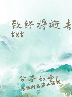 致终将逝去青春txt