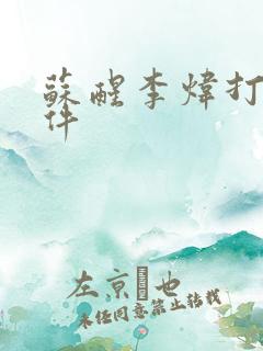 苏醒李炜打架事件