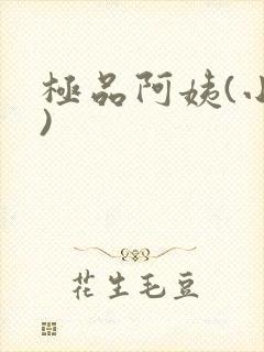 极品阿姨(小说)