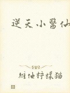 逆天小医仙陈平