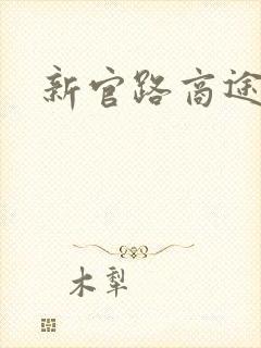新官路商途