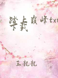 踏上巅峰txt下载