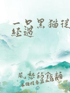 一只黑猫从眼前经过