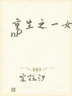重生之一女九龙nP