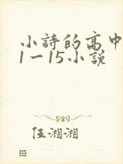 小诗的高中日记1一15小说