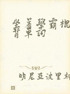 坐着学霸棍子上背单词