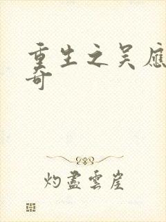 重生之吴应熊传奇