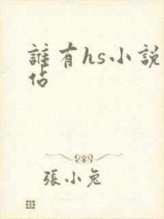 谁有hs小说网站