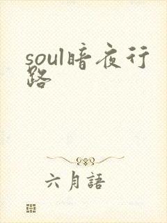 soul暗夜行路