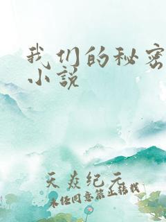 我们的秘密泰剧小说