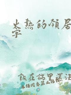 火热的领居中文字