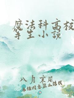 魔法科高校的劣等生小说