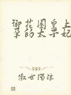 御花园皇上C有孕的太子妃