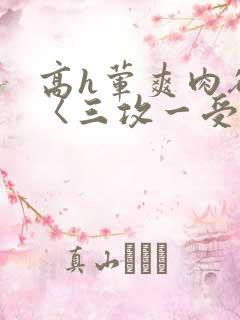 高h荤爽肉欲文〈三攻一受〉视频