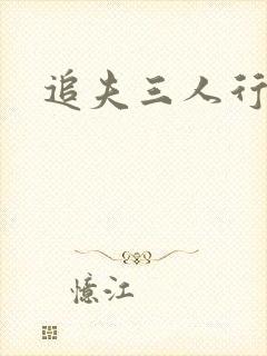 追夫三人行