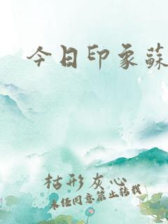 今日印象苏梦