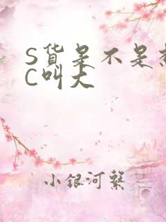 S货是不是想挨C叫大