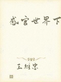 感官世界下载
