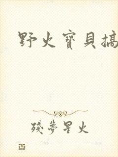 野火宝贝搞定你