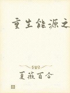 重生能源之王