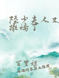 陆少夫人又双叒撒娇了