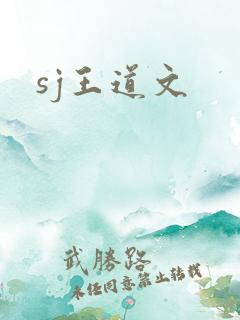 sj王道文