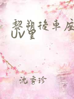 黎朔后车座上SUV里