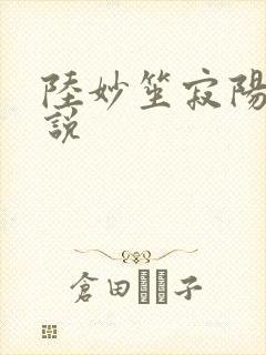 陆妙笙寂阳朔小说