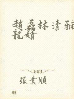 赵磊林清雅上门龙婿