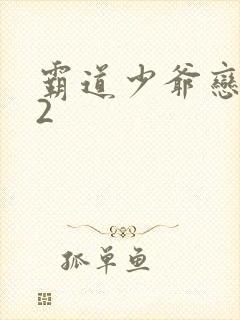 霸道少爷恋上我2