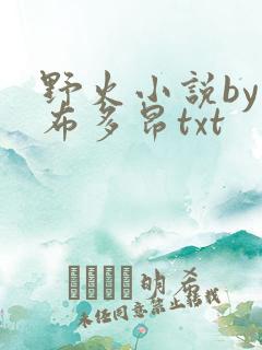 野火小说by夏布多昂txt