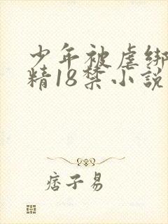 少年被虐绑着榨精18禁小说