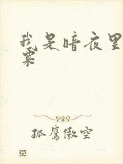 我是暗夜里的罂粟