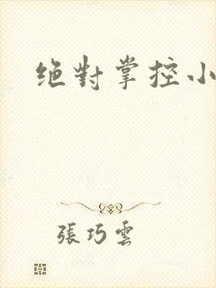 绝对掌控小说