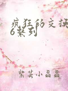 疯狂的交换1一6系列