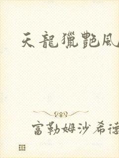 天龙猎艳风流