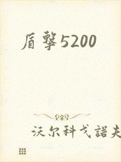 盾击5200