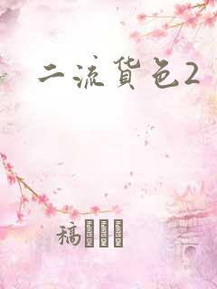二流货色2