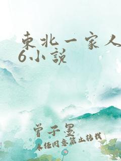 东北一家人1一6小说