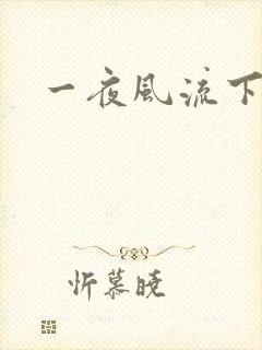 一夜风流下载