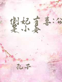 侧妃有喜:公主是小妾