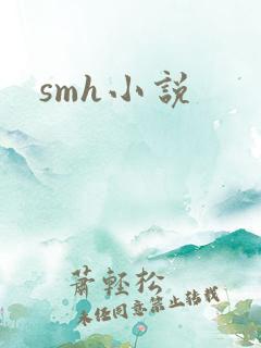smh小说