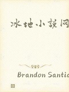 冰地小说网