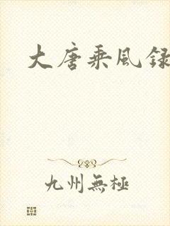 大唐乘风录