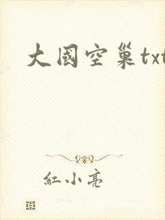 大国空巢txt